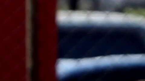 "Esto va a continuar hasta que todos los niños sean reunificados con sus padres".