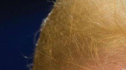 Trump canceló el TPS para El Salvador, Haití, Nicaragua, Sudán, Liberia y Nepal