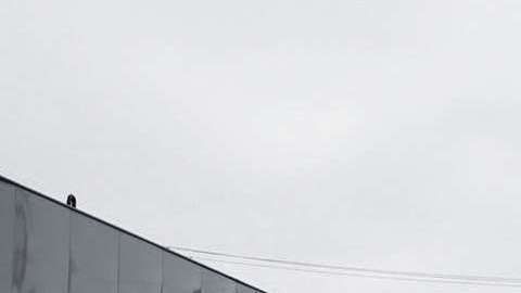 Serán deportadas al cierre de las investigaciones