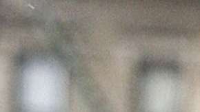 Michael Cohen, exabogado del presidente Trump.