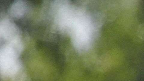 La Administración tiene hasta el 26 de julio para reunificar al resto de los casi 3,000 niños y jóvenes bajo custodia federal