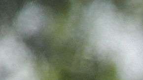 2,551 menores inmigrantes deberán ser reunidos con sus padres antes del 26 de julio.