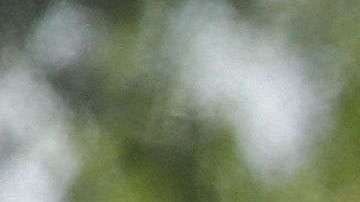 Familias migrantes son procesadas en la Estación Central de Autobuses en McAllen.