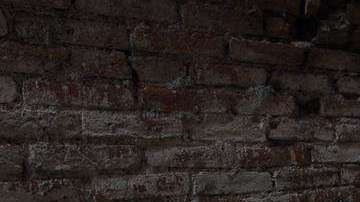 Andrés Manuel López Obrador, virtual presidente de México.