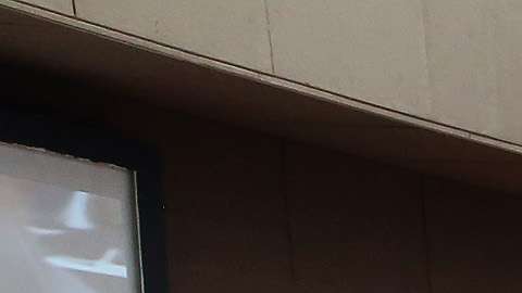 La nueva Constitución de Cuba se someterá a votación en julio.