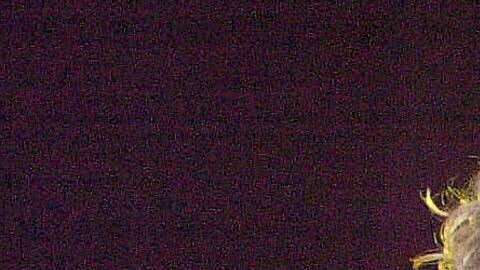 Celia Cruz falleció hace 15 años.