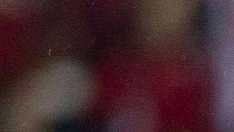 José Cardozo de Chivas da instrucciones a sus jugadores. EFE/Francisco Guasco