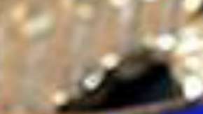 Quizo evitar problemas por la infracción de tránsito y termino en manos de ICE