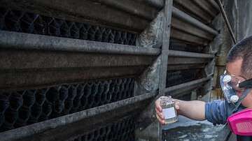 Un funcionario recoge una muestra en un edificio de El Bronx.
