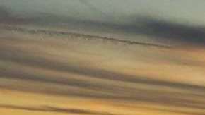 Estos vehículos te impresionarán con sus rediseños.