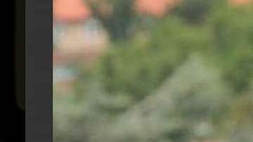 Roger Federer llamó la atención con una playera de Plaza Sésamo