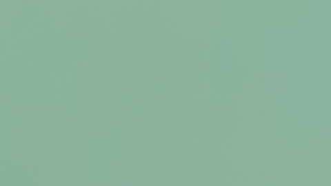 Las cuentas 529 están pensadas para ayudar a ahorrar para pagar estudios./Shutterstock