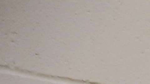 En algunos casos, la reapertura de casos antes cerrados lleva al inmigrante de nuevo a un centro de detención, dijeron abogados (Foto archivo)