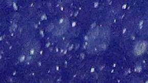 Los franceses con la Copa. EFE