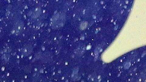 Los franceses con la Copa. EFE