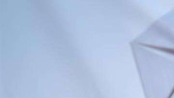 Falleció a los 66 años: tenía 14 años al frente de Fiat.