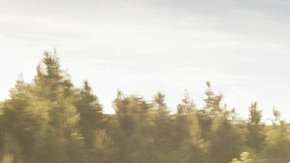 Un auto que promete diversión.