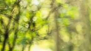 89511127_onlinejessica_2extrablur