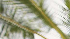 ¿Cerveza para el calor? No es la mejor opción.