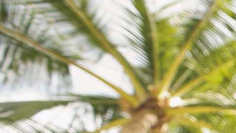 ¿Cerveza para el calor? No es la mejor opción.