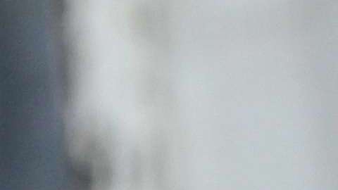 Andrés Manuel López Obrador y Donald Trump.