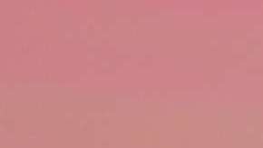 AMLO y Trump han platicado vía telefónica.