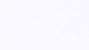 Dra. Ana María Polo