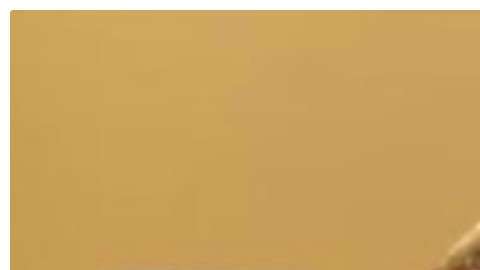 El anciano se recupera de las heridas recibidas.