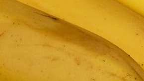 Una terrible plaga podría acabar con esta fruta.