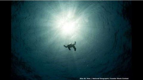 "El buzo Carlos Correa sube a la superficie en un descanso durante la Copa Caribeña de buceo sin equipo 2015 que se celebró en Honduras", explica el fotógrafo Alex St. Jean. "Cada vez que veo esta foto me relaja y me hace preguntarme cómo estos atletas pueden alcanzar profundidades de casi 100 metros con su propia respiración durante cerca de cuatro minutos".