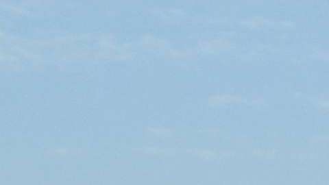 Bella Thorne sigue causando polémica