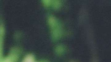 Brad Pitt apareció en Deadpool 2.