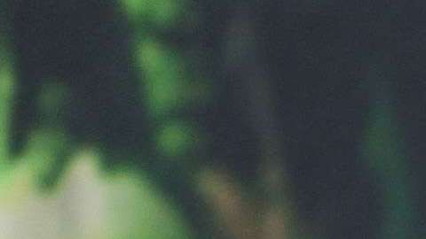 Brad Pitt apareció en Deadpool 2.