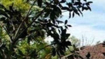 Esta sería la mansión de Cristiano Ronaldo en Turín