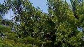 Escuela Normal Rural Mactumatzá.