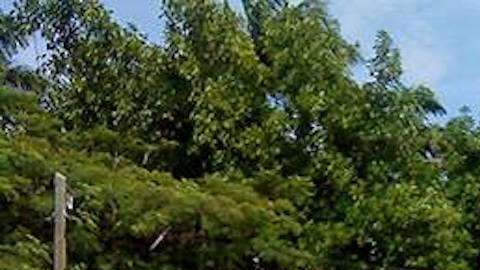 Escuela Normal Rural Mactumatzá.