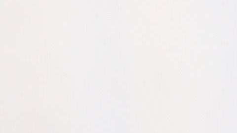 Chloë Grace Moretz.