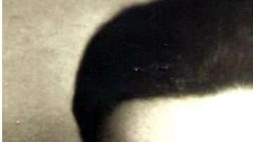 Henri Le Masne pudo ser identificado luego de 60 años de su desaparición.