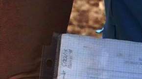 Arqueólogos han tomado la zona