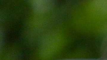 Demi Lovato está hospitalizada.