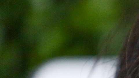 Demi Lovato está hospitalizada.