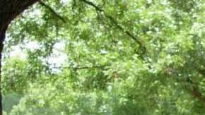 Aquí la orgullosa abuela portando su tradicional camiseta.