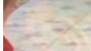 El ataque se reportó en un circo de Tailandia.