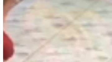 El ataque se reportó en un circo de Tailandia.