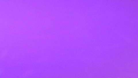 Jaime Rodríguez Calderón "El Bronco".