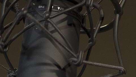 Prince Royce será parte de "Elena Of Avalor: Song Of The Sirenas" (Disney Channel/Paul Hebert)