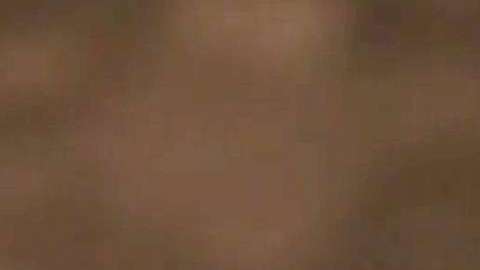 Aurelio Casillas en "El Señor de los Cielos"