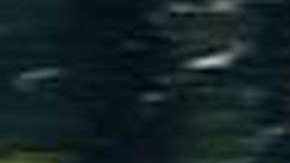 "El Señor de los Cielos"