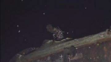 Dentro del barco habrían grandes cantidades de monedas de oro.