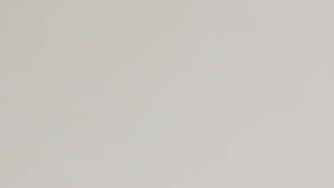 Michel Brown en "Falco" de Telemundo